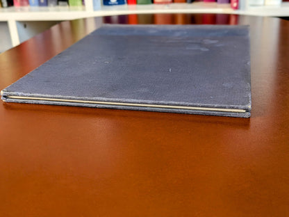 HANS ANDERSEN "THE UGLY DUCKLING" AS TOLD BY MARIANNA MAYER FIRST EDITION 1987