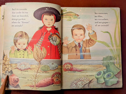 A LITTLE GOLDEN BOOK "WONDERS OF NATURE" FIRST US EDITION 1957