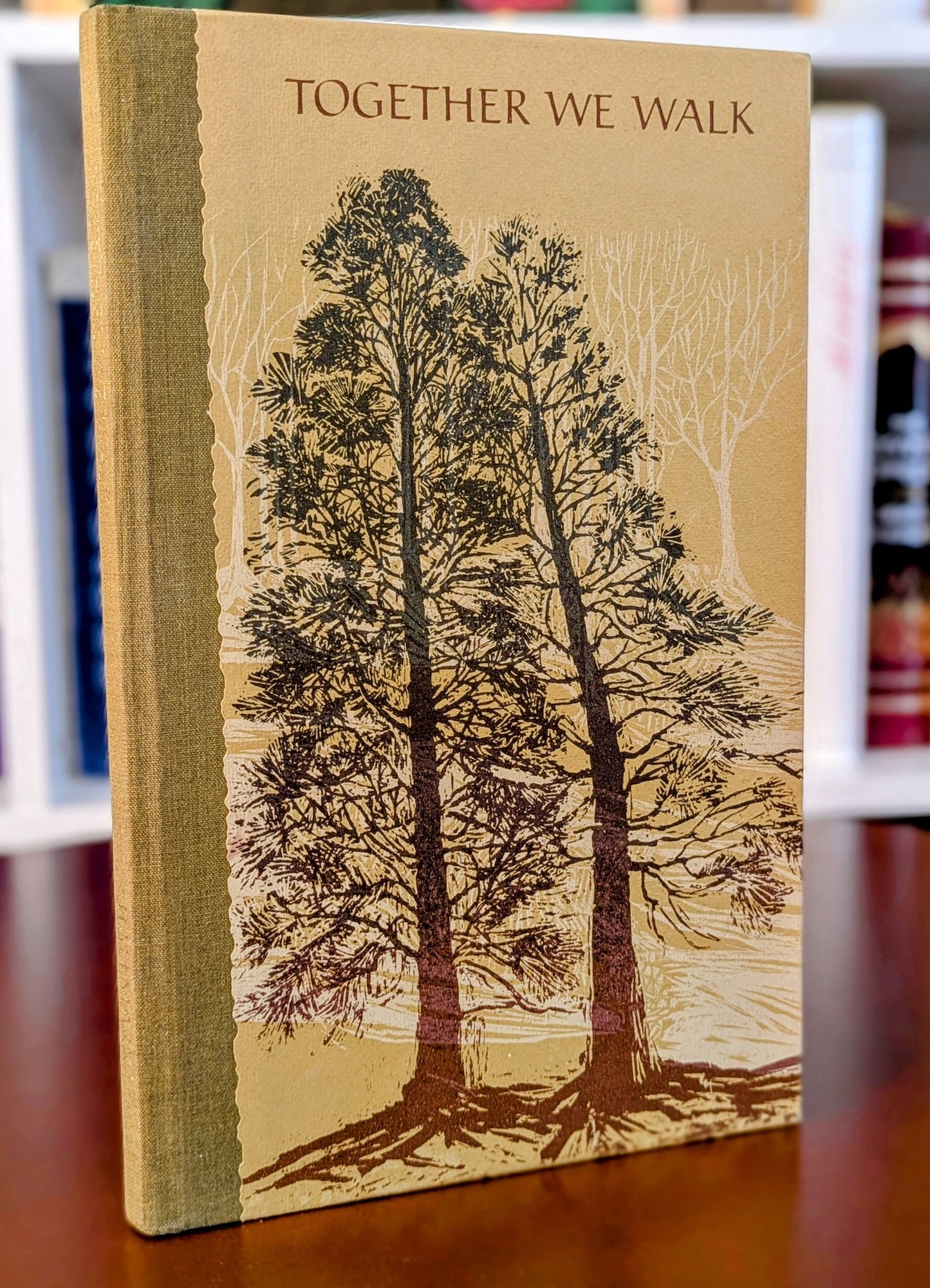 ILLUSTRATED "TOGETHER WE WALK" HALLMARK CROWN EDITIONS 1972