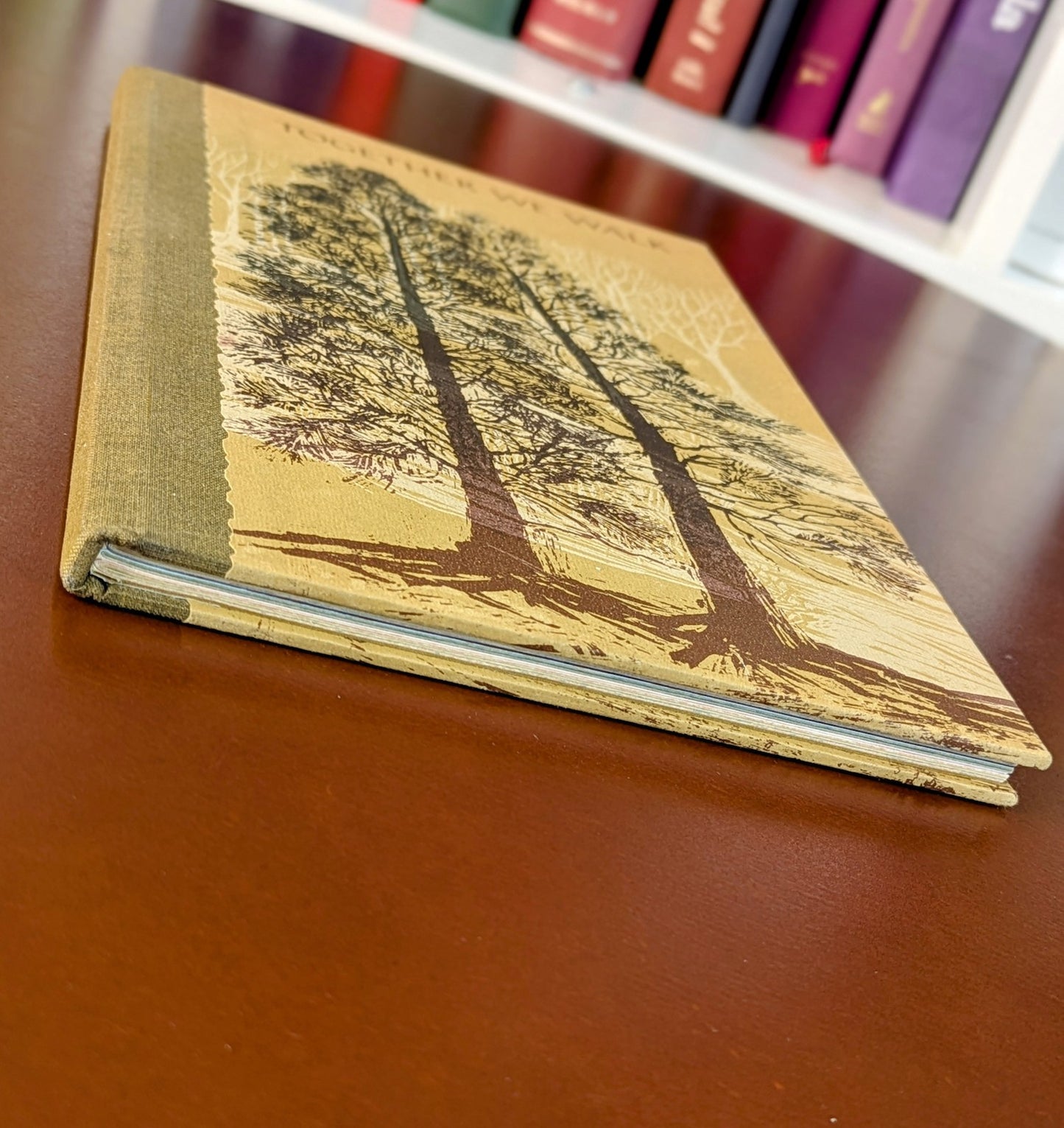 ILLUSTRATED "TOGETHER WE WALK" HALLMARK CROWN EDITIONS 1972