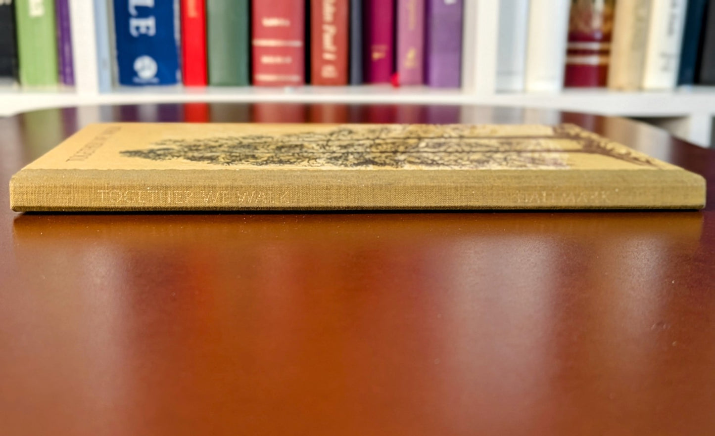 ILLUSTRATED "TOGETHER WE WALK" HALLMARK CROWN EDITIONS 1972