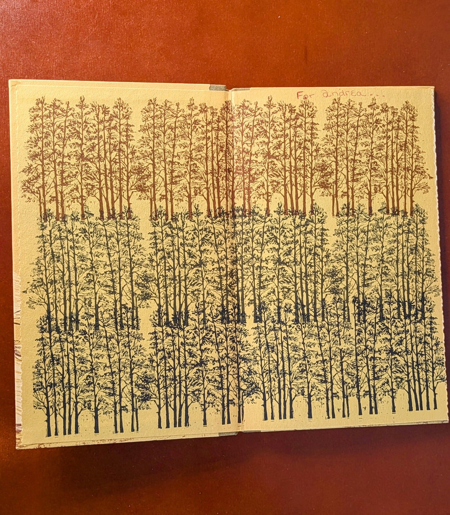 ILLUSTRATED "TOGETHER WE WALK" HALLMARK CROWN EDITIONS 1972