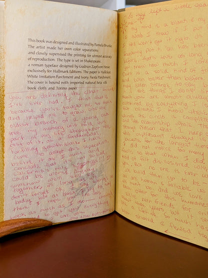 ILLUSTRATED "TOGETHER WE WALK" HALLMARK CROWN EDITIONS 1972