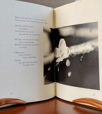 DAISAKU IKEDA "HOPES AND DREAMS" FIRST ENGLISH TRANSLATION 1976