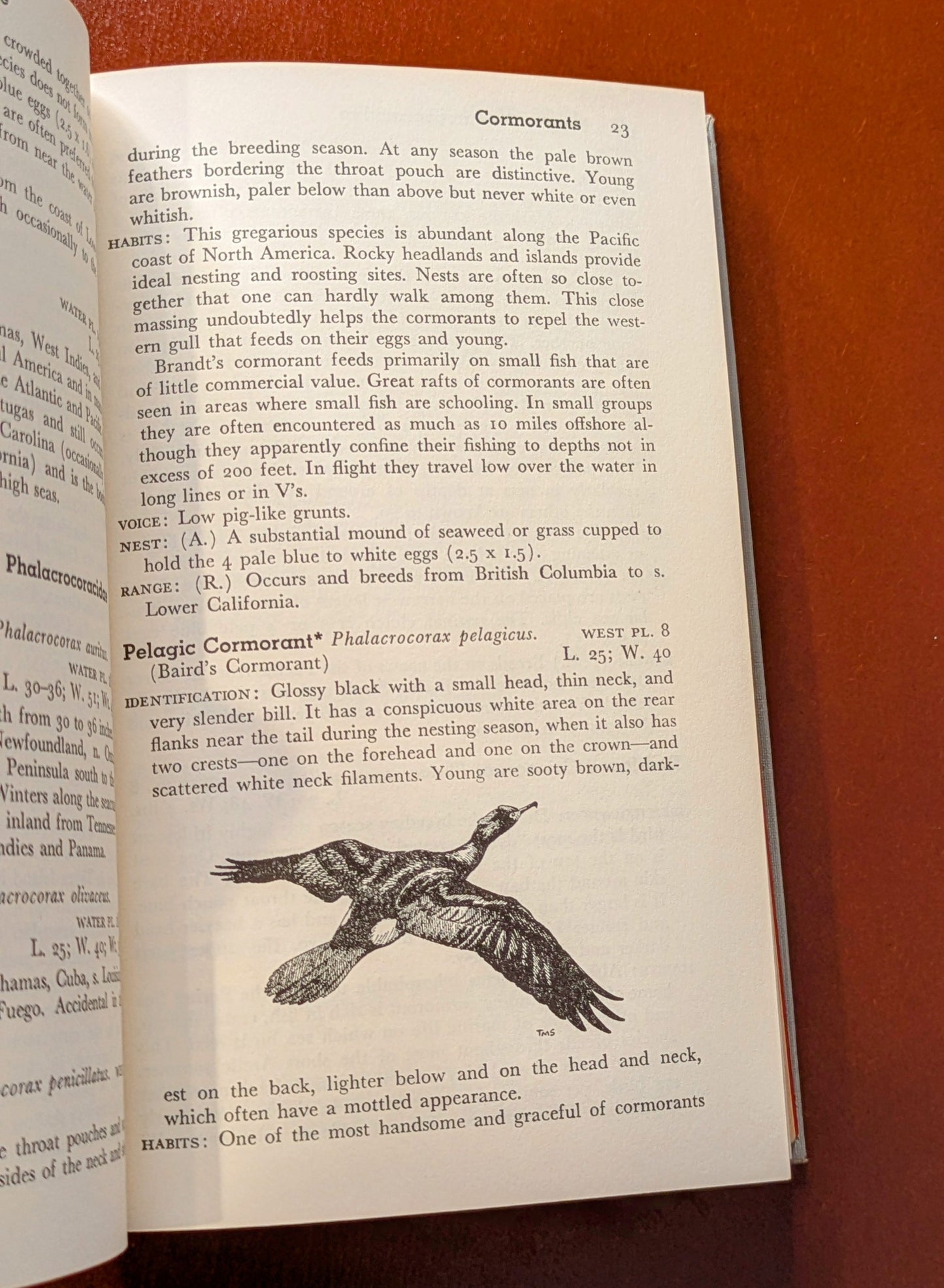 "AUDUBON WESTERN BIRD GUIDE" LAND WATER AND GAME BIRDS FIRST EDITION 1957