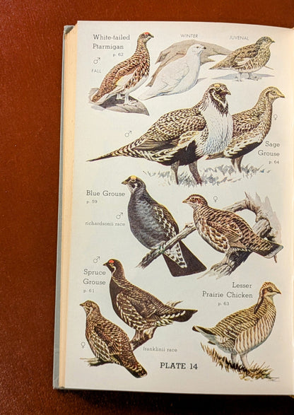 "AUDUBON WESTERN BIRD GUIDE" LAND WATER AND GAME BIRDS FIRST EDITION 1957