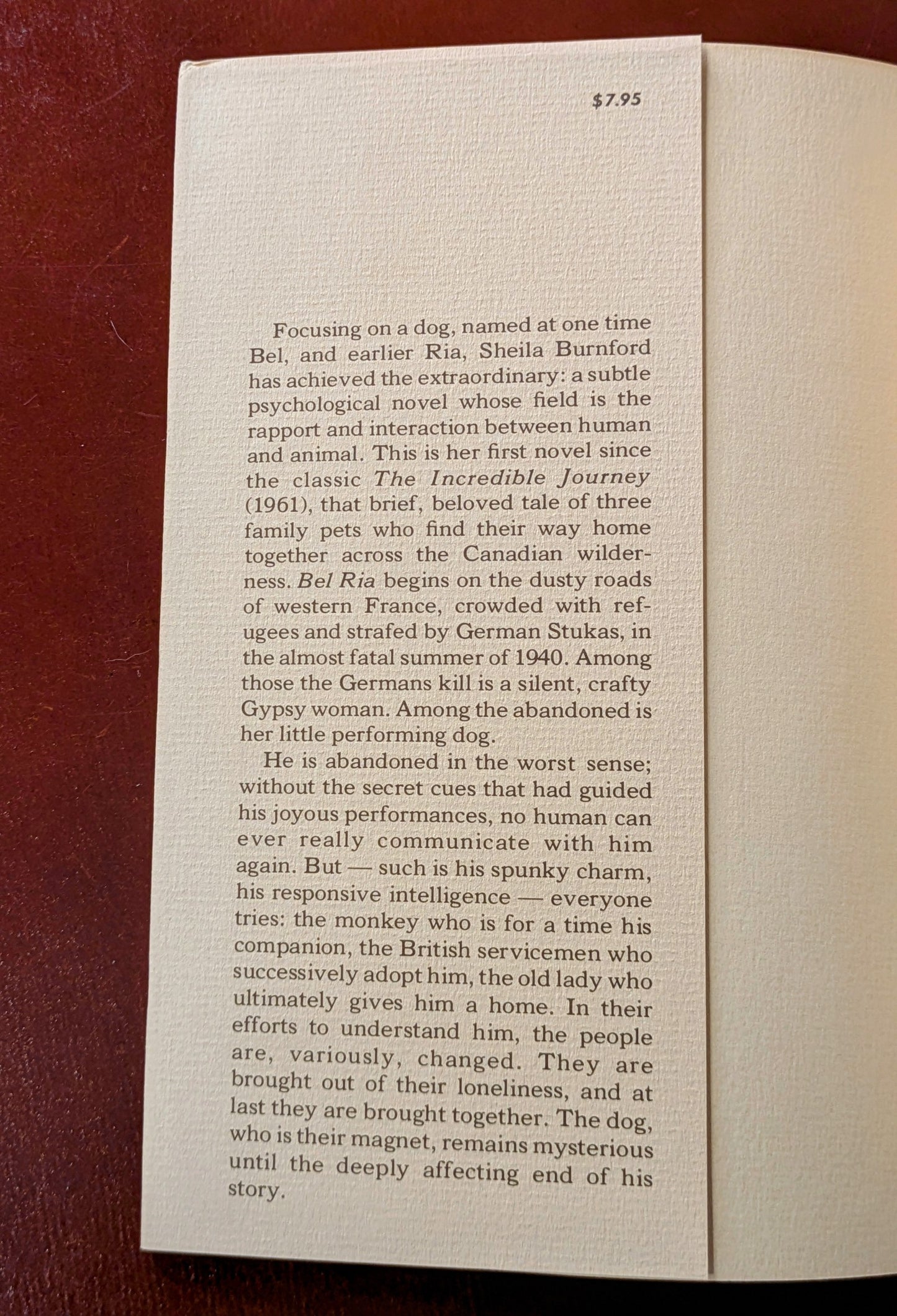 SHEILA BURNFORD "BEL RIA" FIRST US EDITION 1978