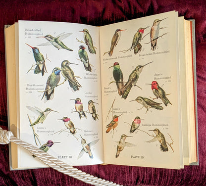 "AUDUBON WESTERN BIRD GUIDE" LAND WATER AND GAME BIRDS FIRST EDITION 1957