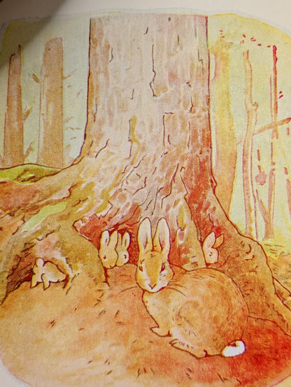 BEATRIX POTTER "THE TALE OF PETER RABBIT" AND MORE - 6 VOLUME SET 1970's